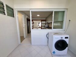 Dunearn Road (D11), Condominium #484958741
